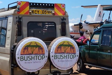6 Days Amboseli & Masai Mara Fly-in Safari