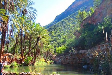 Private Guided Tour to Paradise Valley and Taghazout village 