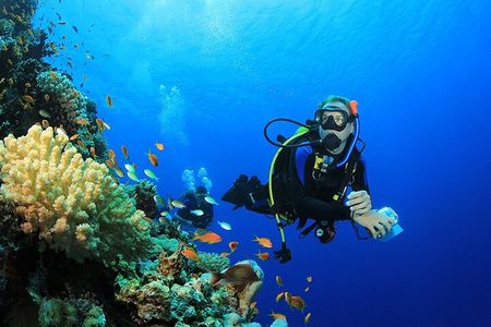Hula Hula Island Or Orange Bay Island With Diving Experince