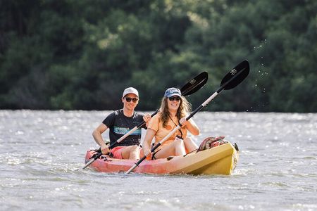 Wailua River: Kayak & Hidden Waterfall Adventure