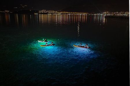 Budva: 2-Hour «Night Lights» Kayak Tour