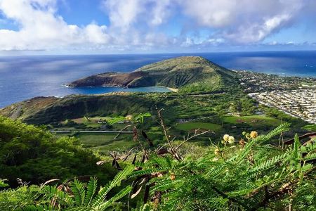 Koko Head Crater Hike and Halona Beach Cove Relaxation