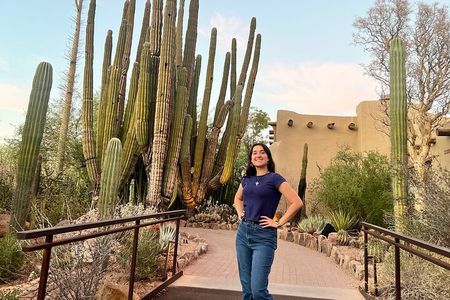 1.5hr Desert Botanical Garden Sunset Tour. Small Group. 6:30-8pm