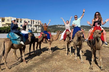 Private Tour of Tangier: Exploration and Camel Ride Included 