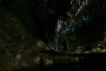 Kawiti Family Glowworm Caves Guided Tour in Bay of Islands