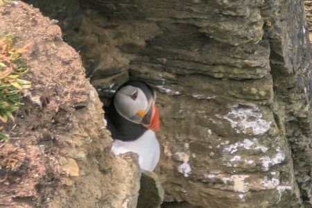 Orkney Echoes Private Half Day Tour