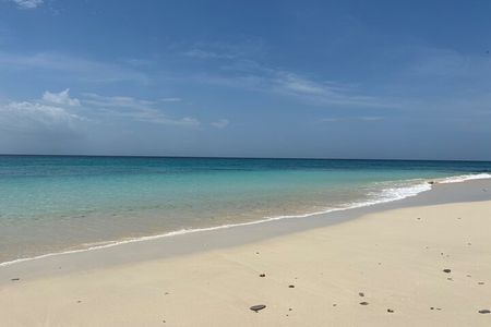 Perfect Island + Amazing snorkeling with turtles near Panama City