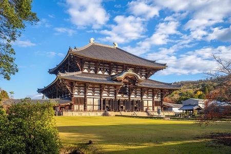 Kiyomizu dera Fushimi Inari and Nara Park Day Tour