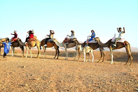 Marrakech: Agafay Desert Sunset & Camel Rides and Dinner Show