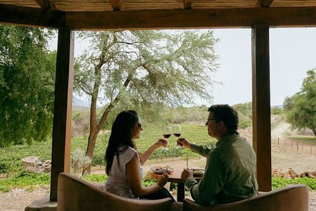 Fires and Vineyards Lunch and Walk in the Vineyards