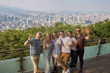 Seoul City Private Tour (Optional : Seoul, DMZ, Nami Island)