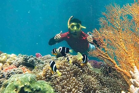 Nha Trang Mun Island Snorkeling, Fishing and Mini Beach Tour