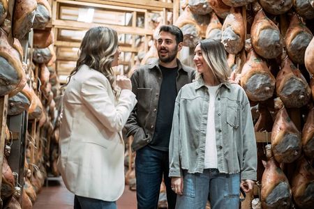 Parmigiano Reggiano Parma Ham and Castle Private Tour & Tasting 