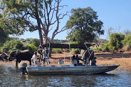 Chobe Botswana Day Trip River and Land Safari from Victoria Falls