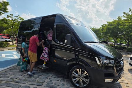 Busan private tour