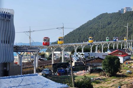 Busan private tour with a licensed tour guide