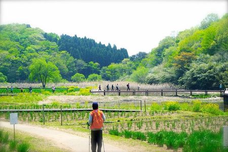 Lake Shidaka and Lake Kagurame Nordic Walking Tour