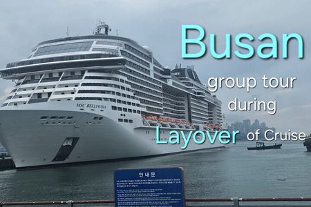 Busan shared tour during Layover of Cruise Max 15 guests