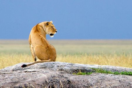 6 Days of Experiences Through Northern Circuit Destinations