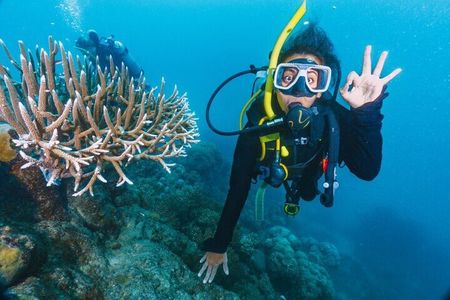 Professional Diving Expedition with Transfers & Lunch – Hurghada