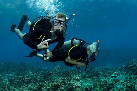 Tiran Island Full Day 2 Diving Stops Trip & Lunch–Sharm El Sheikh