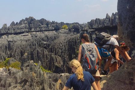 Baobab & Grand Tsingy Walk in 14 Days