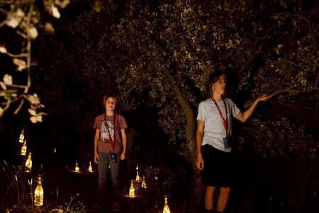 An Immersive Night Tour Between Vines and Lights