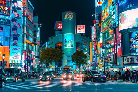 Tokyo After Dark: Private Night City Tour