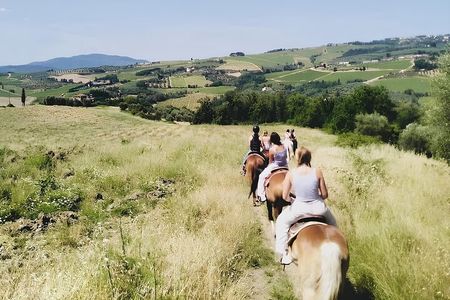 Scenic Tuscan Horseback Ride with Aperitif near Florence