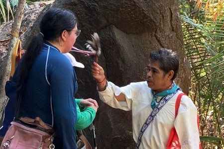 Wixárika Indigenous Blessing: Sacred Walk in the Jungle