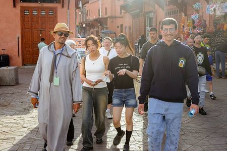 Half Day Tour of Marrakech Highlights and Hidden Gems