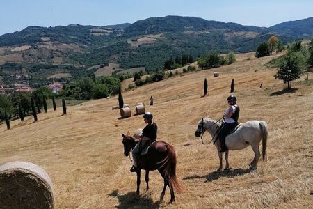 Horseback Ride through the Emilian Hills from Vergato