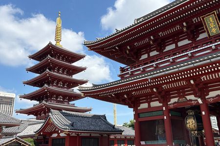 Tokyo Private Half-Day Tour by Car with Local Guide