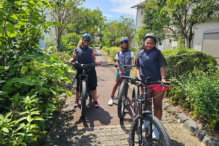 Mount Fuji Scenic E-Bike Tour