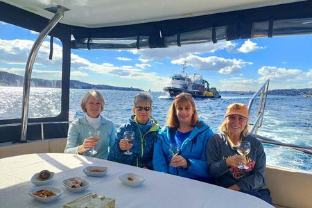 5-Hours Private Luxury Yacht for Bosphorus Cruise in Istanbul