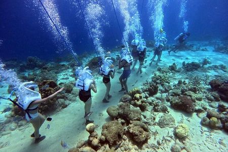 Curacao Sea Trek Snuba Combo Walk Tour and Dive the Ocean
