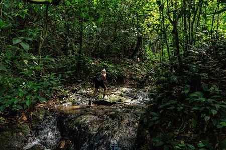 Full-Day Adventure in Corcovado National Park from Drake Bay