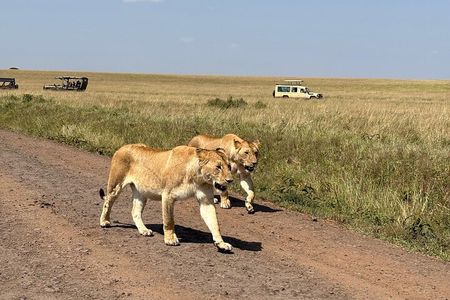 3-Day Masai Mara National Reserve