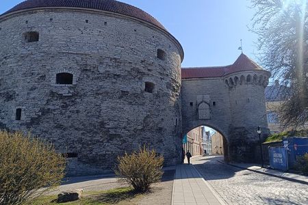 Walls of Tallinn and Medieval Life Within