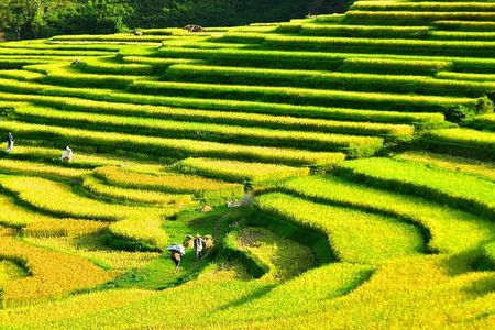 Mountain Life in Motion Trekking Pu Luong’s Untouched Beauty