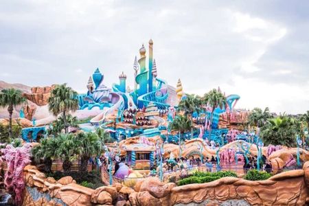 Private Tokyo Disneyland/DisneySea Tour with Car Transportation