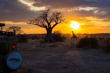 6 Days Private Safari Tarangire, Serengeti, and Ngorongoro crater