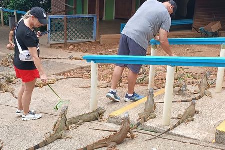 Private Roatan Iguana Farm Monkey Sloth Tour Chocolate sample