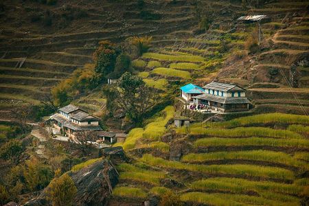 Ghorepani Poonhill Ghandruk Trek from Pokhara: 4-Day Adventure