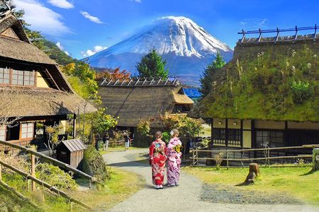 Tokyo: Mount Fuji Must-see Attractions One Day Sightseeing Tour