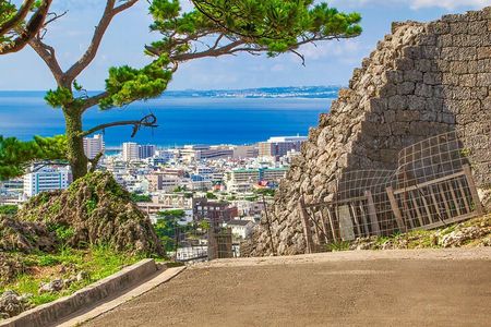Okinawa: Urasoe Castle, Royal Tomb & War History Walk