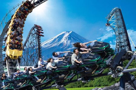Mount Fuji Passes (optional)