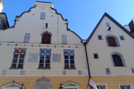Medieval Tallinn - Festivities, Punishments, Epidemics