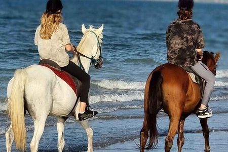 Desert & Sea on Horseback: 2-Hour Ride in Sharm El-Sheikh