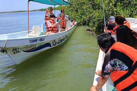 Nature Tour in Rio Lizards: Crocodiles and Flamingos